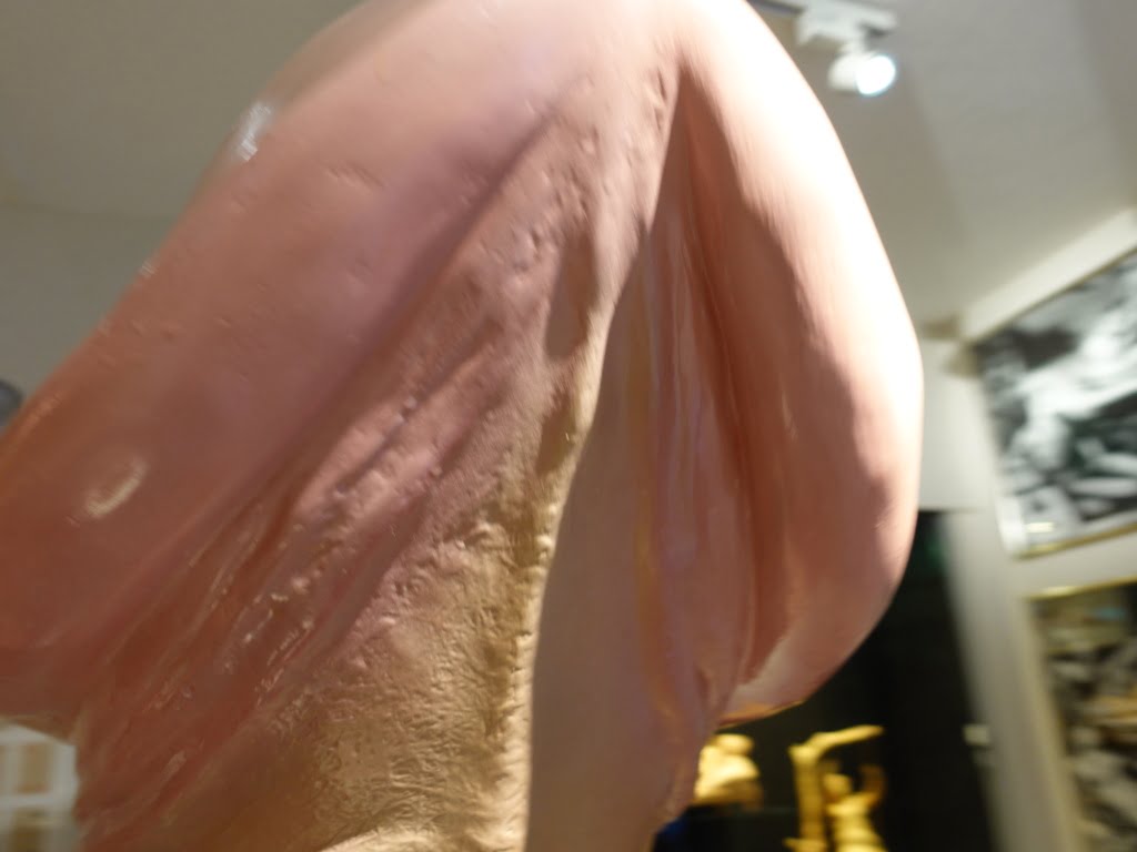 阿姆斯特丹的SEX Museum是探索性文化歷史與藝術的熱門景點,這座博物館收藏了與性相關的古代文物、藝術品及現代裝置,展現出人類性文化的多樣性與演變。參觀者可以透過各式互動展品和視覺體驗,深入了解不同行為與觀點。這次旅程不僅挑戰了傳統觀念,還帶來了關於性別、愛與自由的反思。