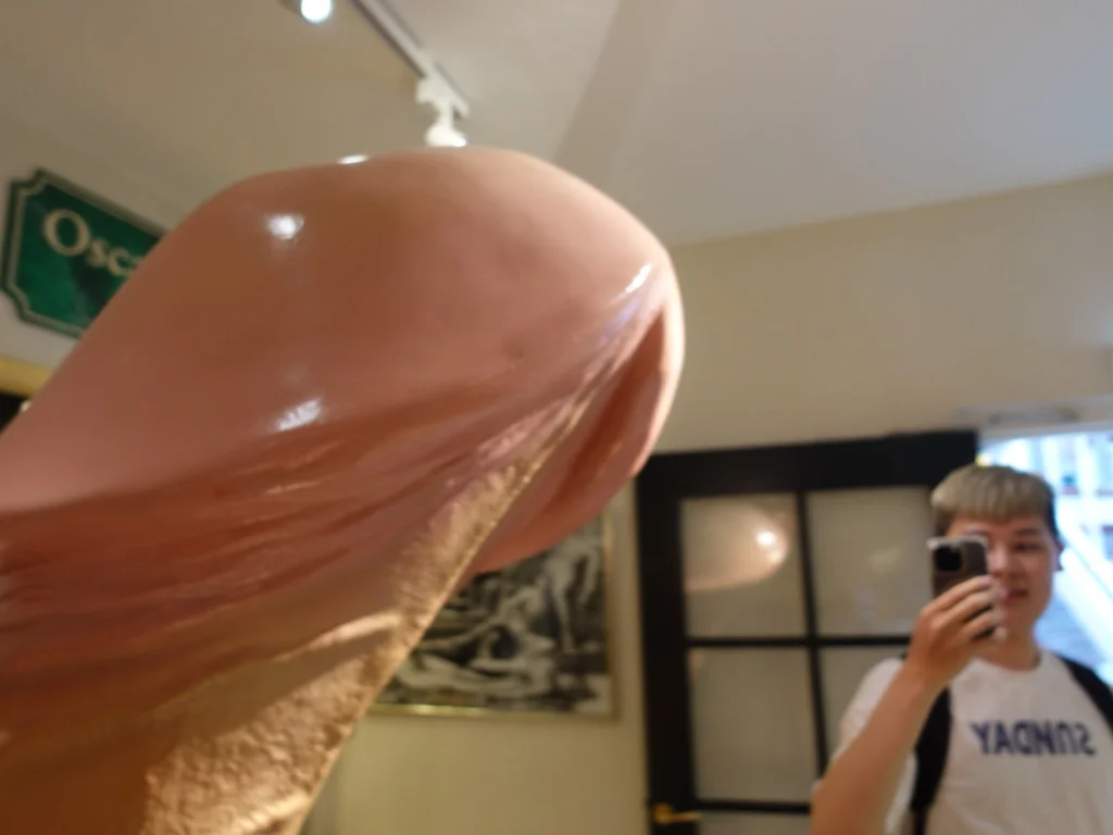 阿姆斯特丹的SEX Museum是探索性文化歷史與藝術的熱門景點，這座博物館收藏了與性相關的古代文物、藝術品及現代裝置，展現出人類性文化的多樣性與演變。參觀者可以透過各式互動展品和視覺體驗，深入了解不同行為與觀點。這次旅程不僅挑戰了傳統觀念，還帶來了關於性別、愛與自由的反思。