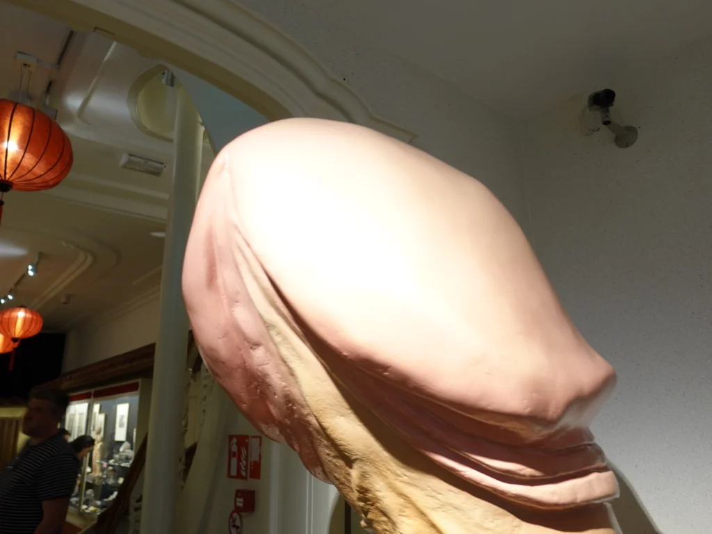 阿姆斯特丹的SEX Museum是探索性文化歷史與藝術的熱門景點，這座博物館收藏了與性相關的古代文物、藝術品及現代裝置，展現出人類性文化的多樣性與演變。參觀者可以透過各式互動展品和視覺體驗，深入了解不同行為與觀點。這次旅程不僅挑戰了傳統觀念，還帶來了關於性別、愛與自由的反思。