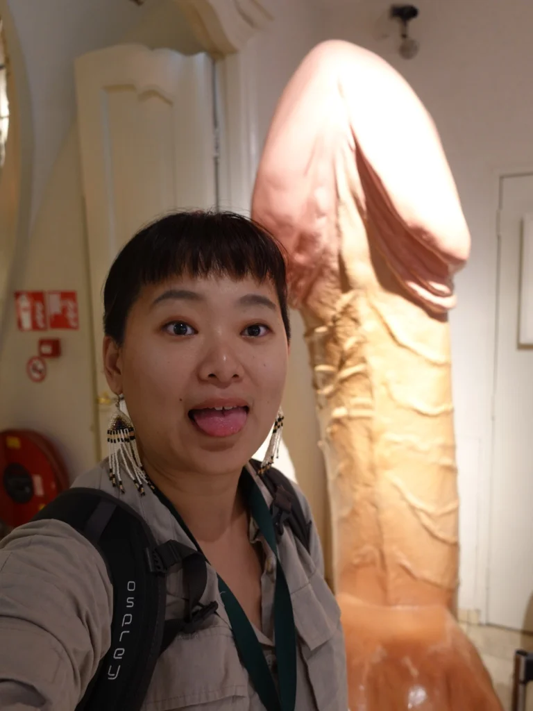 阿姆斯特丹的SEX Museum是探索性文化歷史與藝術的熱門景點，這座博物館收藏了與性相關的古代文物、藝術品及現代裝置，展現出人類性文化的多樣性與演變。參觀者可以透過各式互動展品和視覺體驗，深入了解不同行為與觀點。這次旅程不僅挑戰了傳統觀念，還帶來了關於性別、愛與自由的反思。